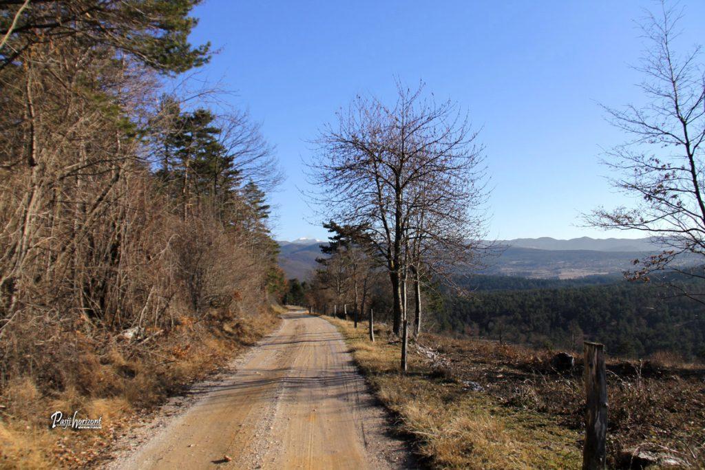 Odcep za Petelinjsko jezero