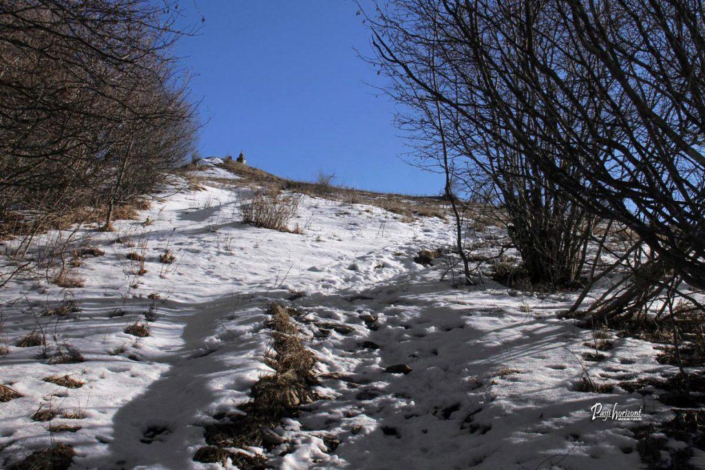Pogled iz gozda proti vrhu Svete Trojice