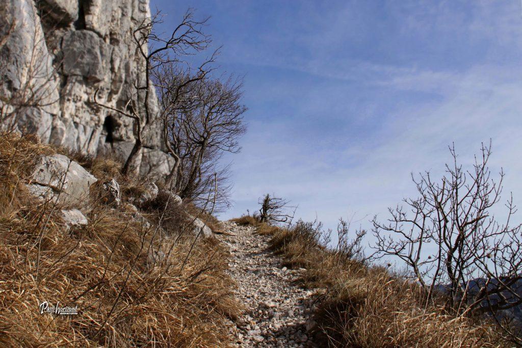Razgledna polica na poti na Kucelj na Čavnu