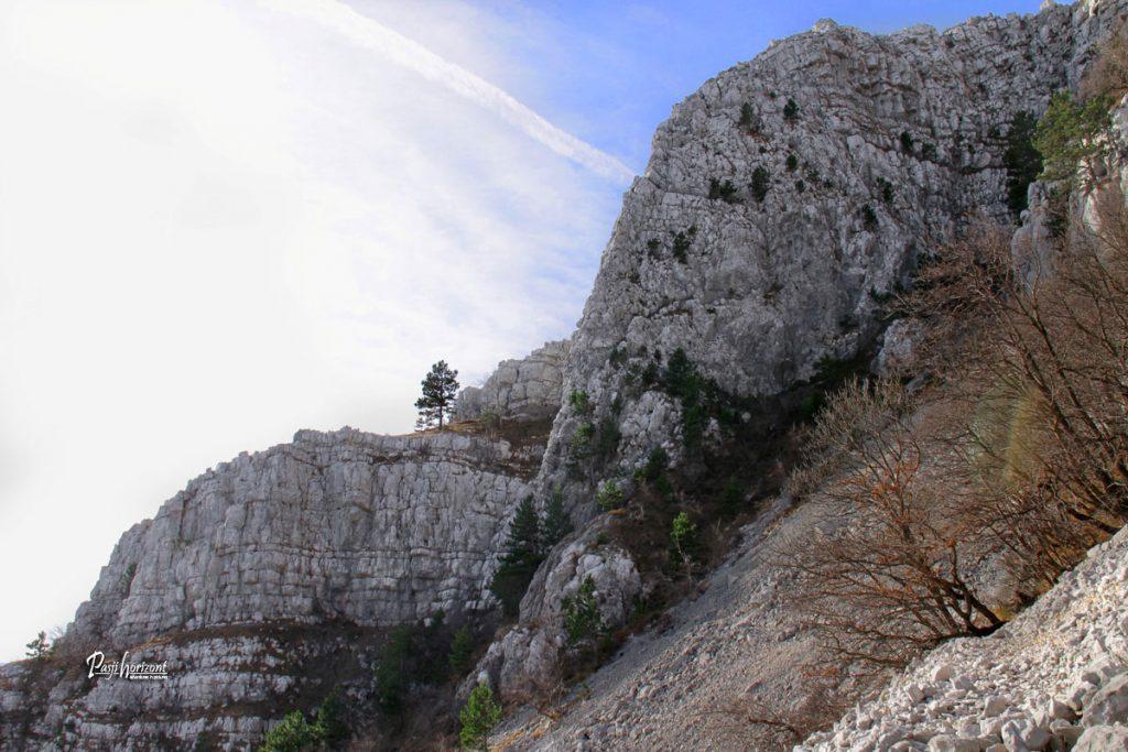 Melišče na poti na Kucelj na Čavnu