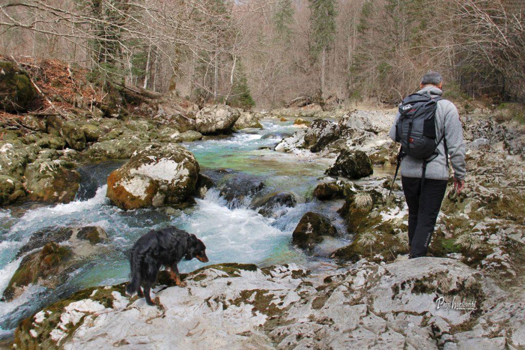 Mali slapovi in modri tolmuni v Koritih Mostnice pri Bohinju