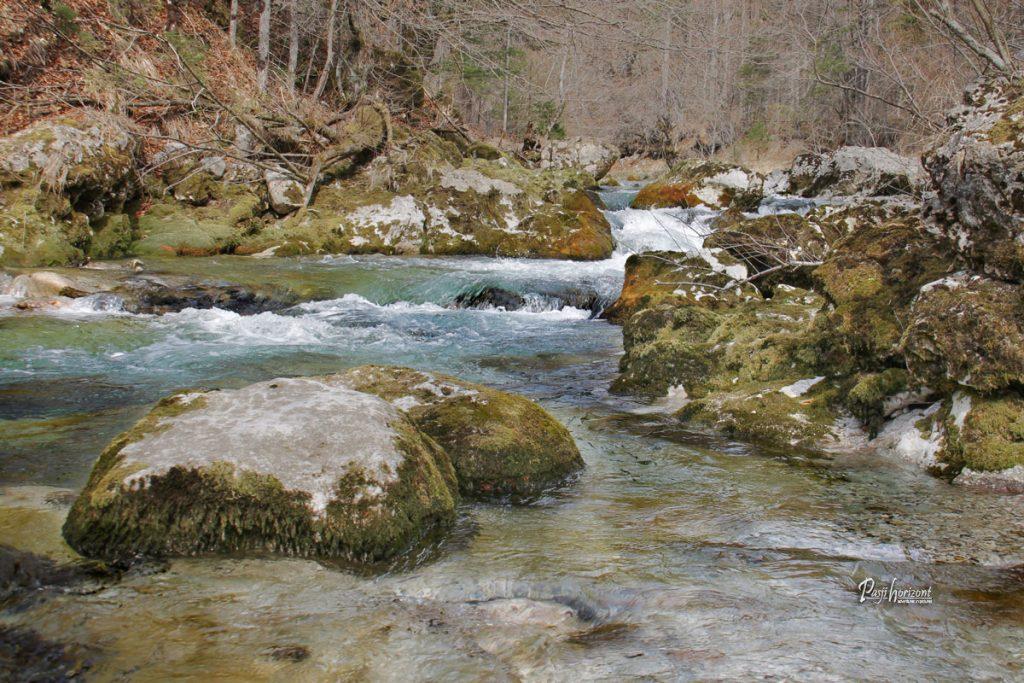 Potok Mostnica v širšem delu Korit Mostnice pri Bohinju
