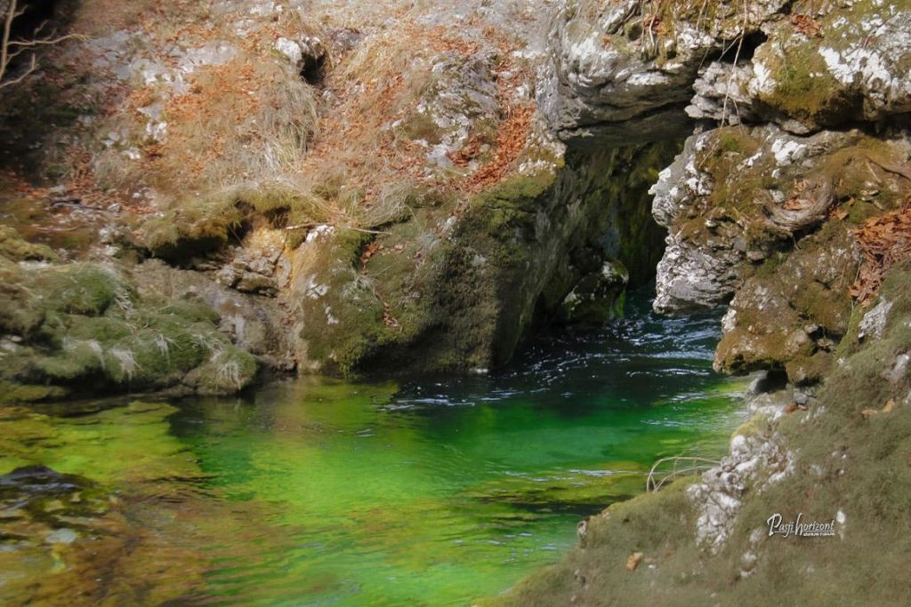 Zeleni odtenki vode v Koritih Mostnice v Bohinju