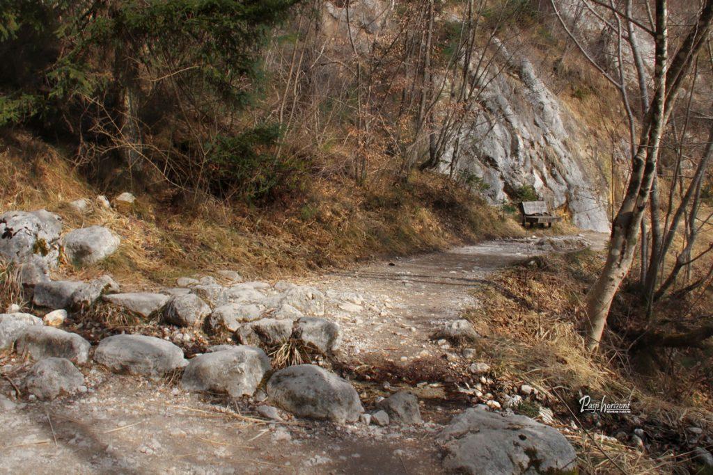 Gozdna pot proti Koritom Mostnice v Bohinju