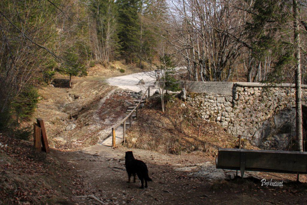 Pogled pod Hudičevim mostom pri Koritih Mostnice