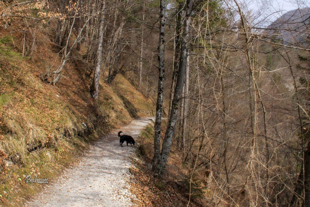 Stara Fužina in začetek poti proti Koritom Mostnice
