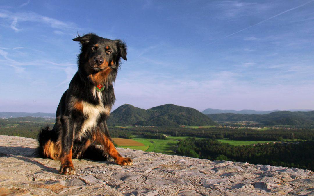 Grad Smlednik – gpx