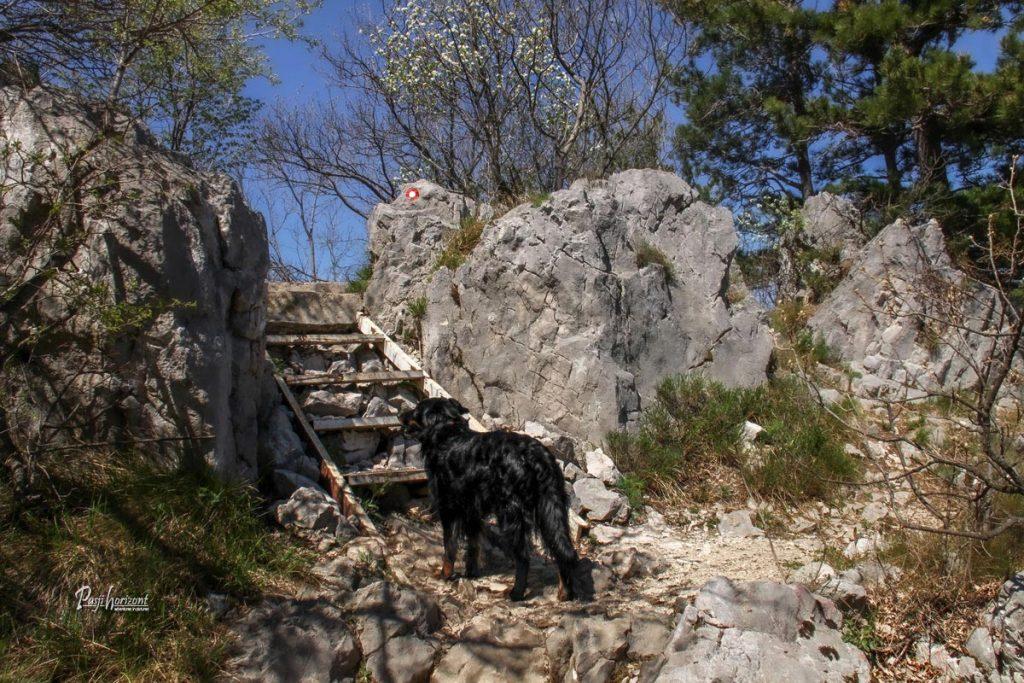 Stopnice na Sabotinu