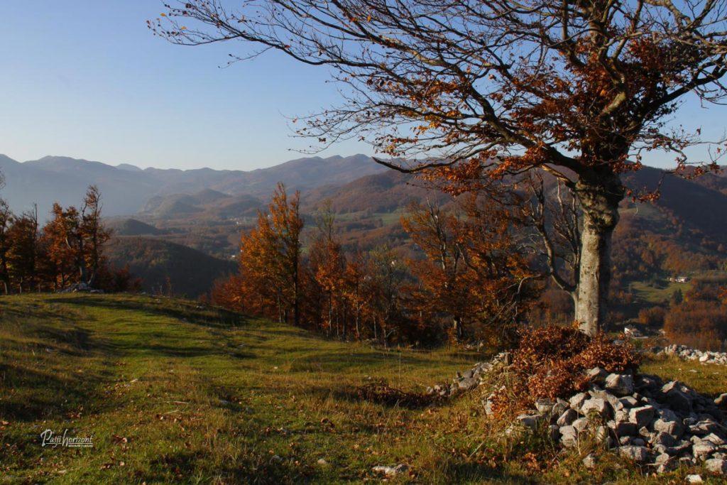 Jesenska pot na Sinji vrh