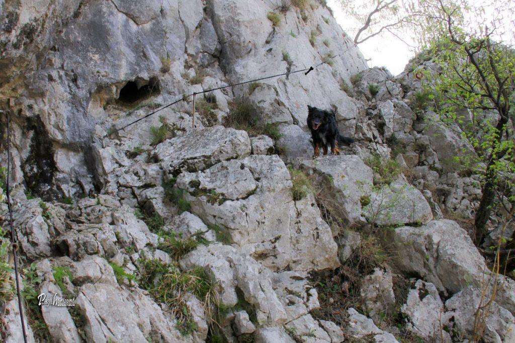 Varovala na zahtevnejši poti na Gradiško Turo