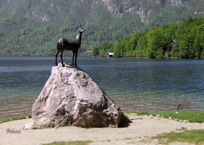 Kip Zlatoroga, Bohinjsko jezero