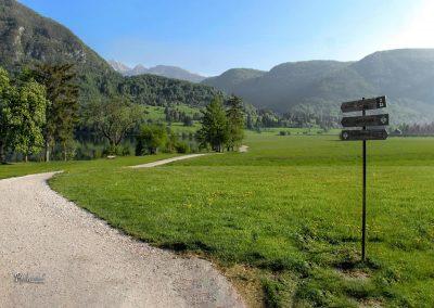 Začetek pešpoti okoli Bohinjskega jezera