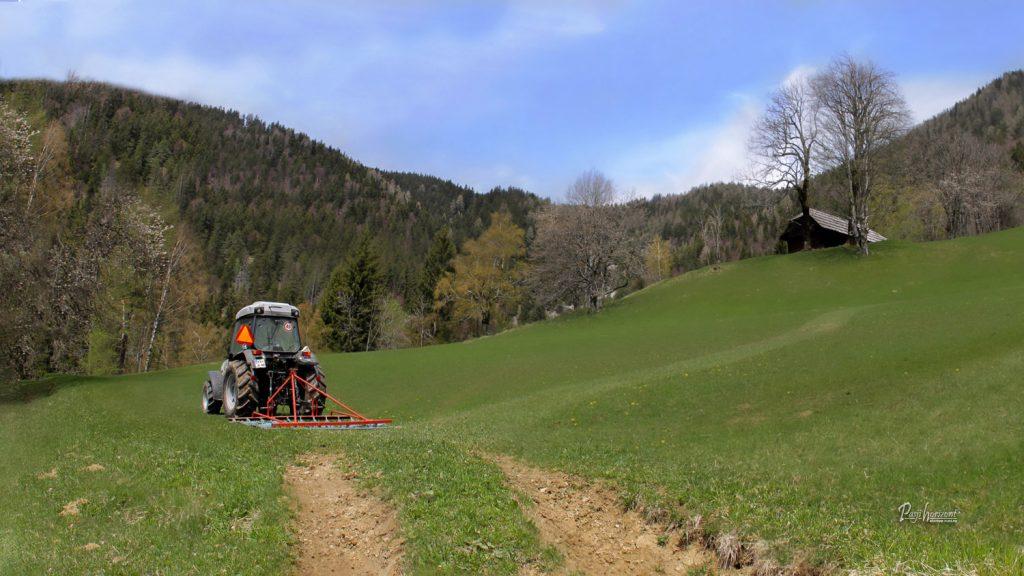 Pašnik na Srednjem Vrhu z gorami v ozadju