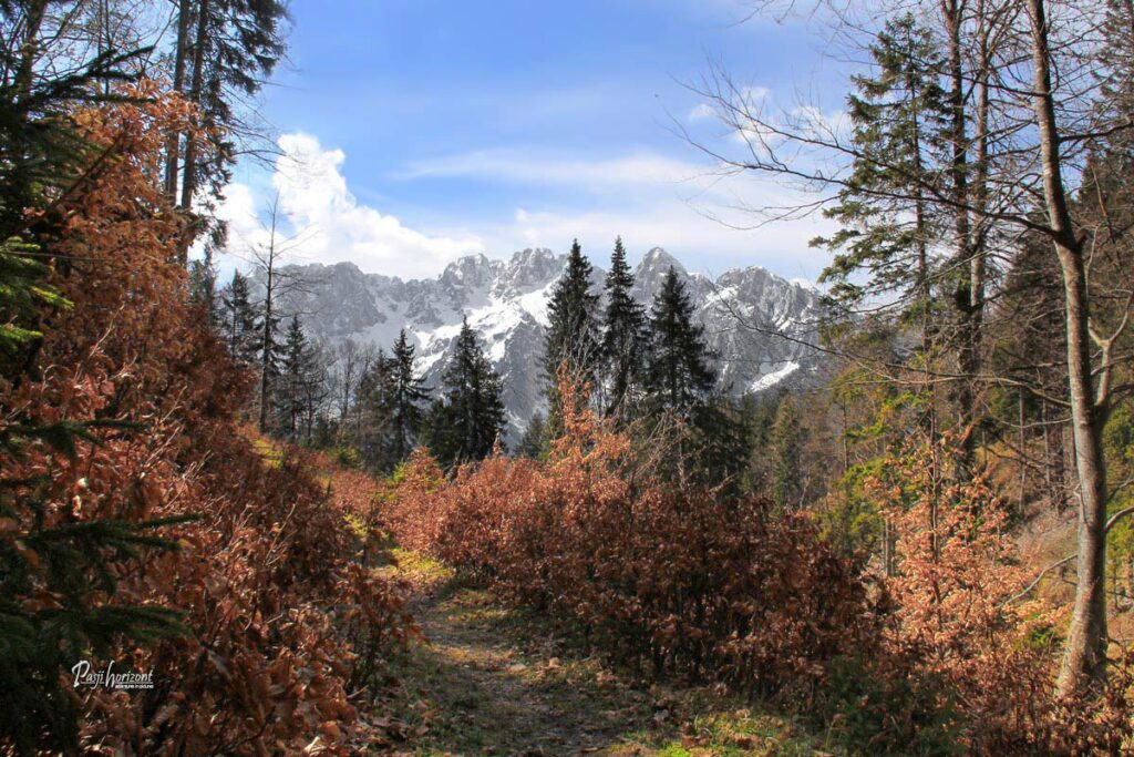 Pogled na Martuljško skupino na poti na Vošco