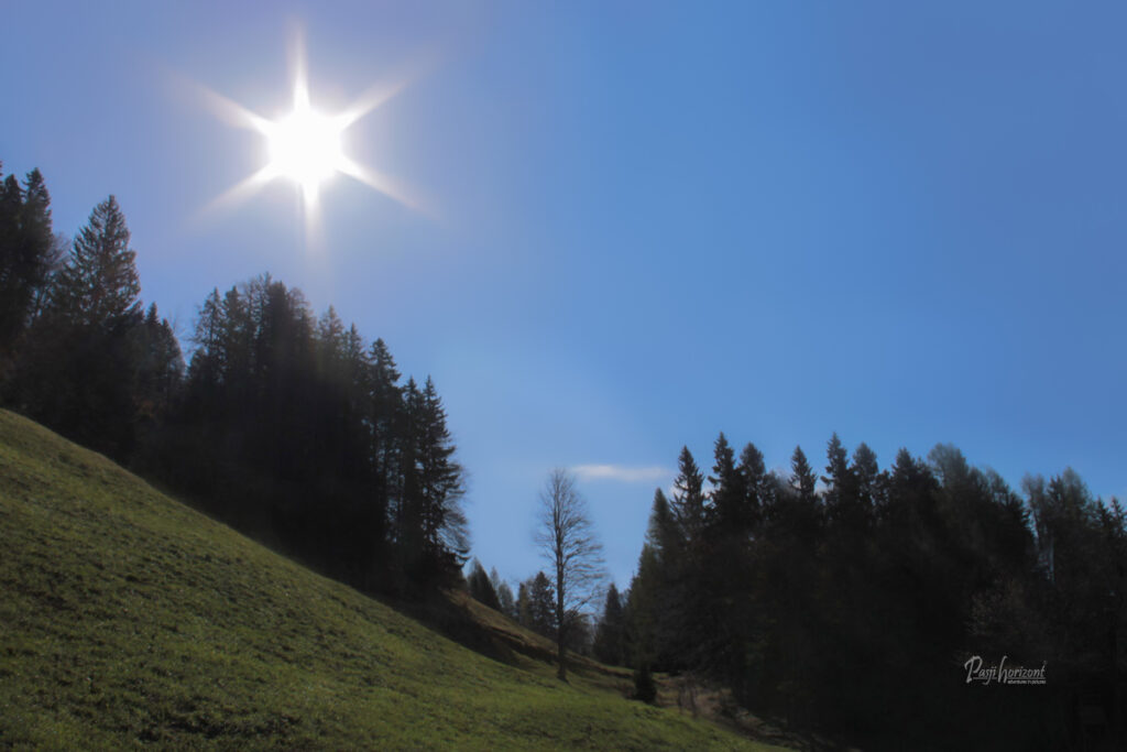 Pašniki nad Srednjim Vrhom na poti proti Vošci