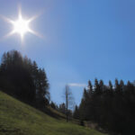 Pašniki nad Srednjim Vrhom na poti proti Vošci