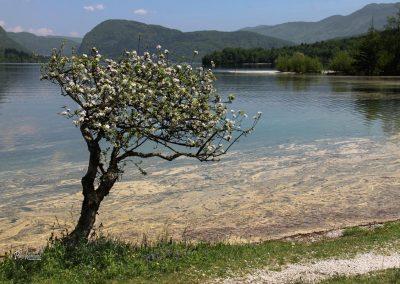 Osamelec na plaži v Ukancu