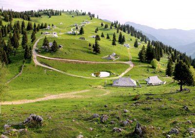 Razgled na Gojško planino, pastirske koče