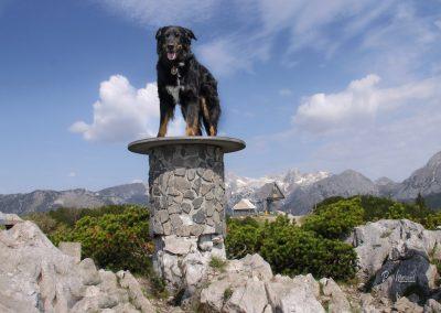 Gradišče, 1666nm, Velika planina, plošča in skrinjica