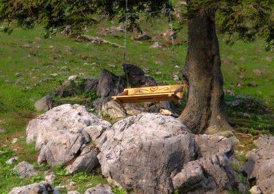 Klopca pod drevesom, Gojška planina