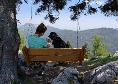 Midva, klopca, Gojška planina