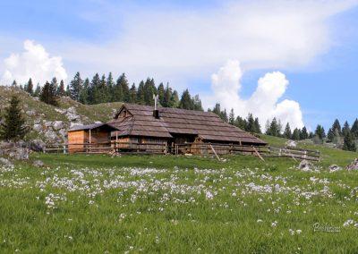 Mali stan, pastirska koča