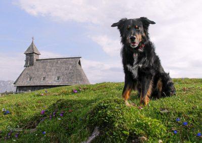 Pasji horizont, kapela Marije Snežne