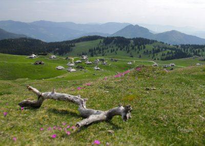 Razgled z vrha na vas s pastirskimi kočami