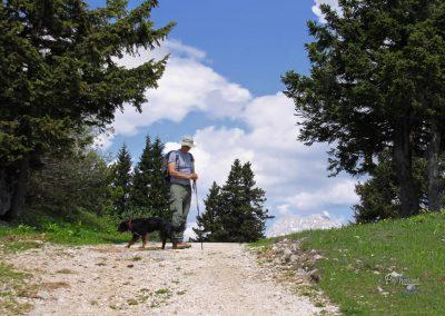 Razpotje za koče na Mali planini