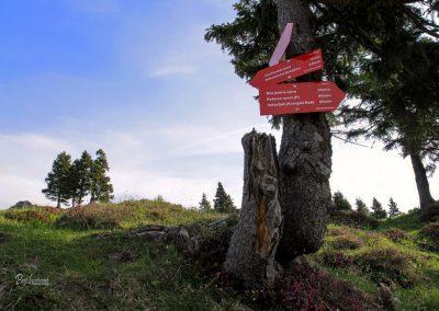 Smerna tabla za Domžalski dom, Mala planina