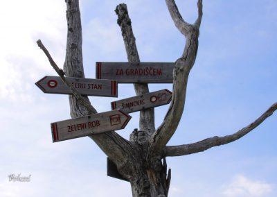 Smerne table, Zeleni rob