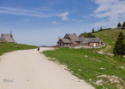 Zeleni rob, Velika planina