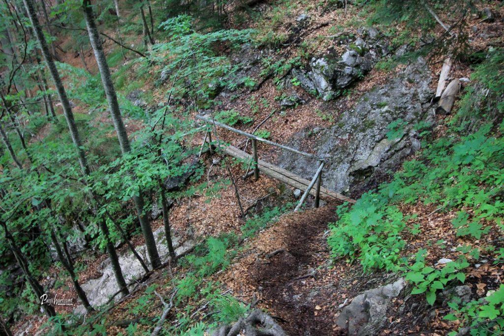 Lesena brv na poti od Koče na Klemenči jami