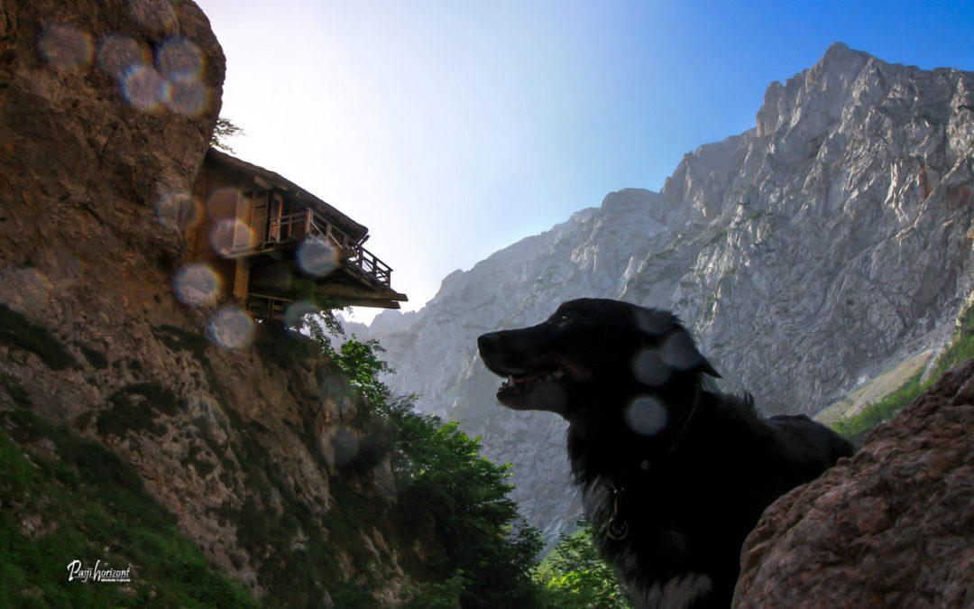 Logarska dolina, izletniško pohajkovanje