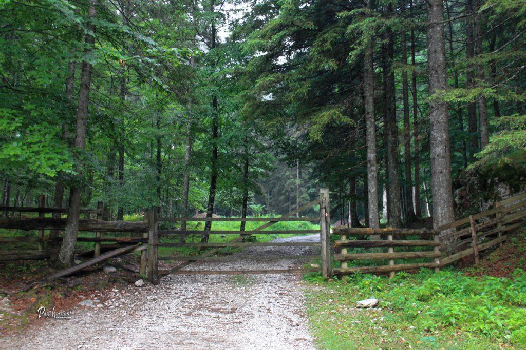Pašna ograja pred Robanovo planino