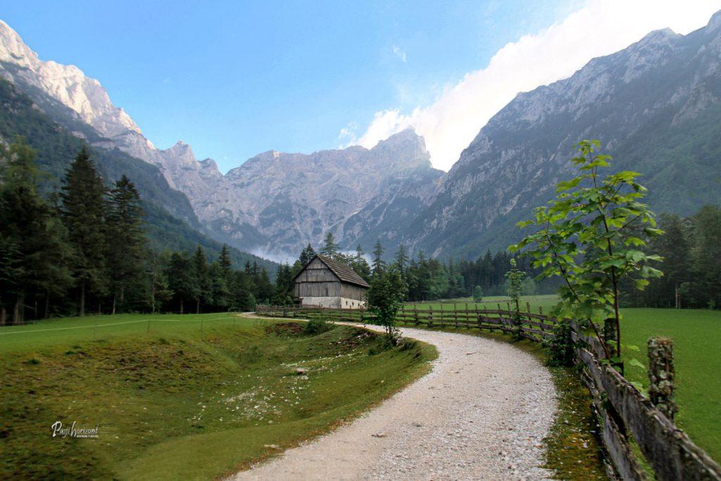 Travnik s hlevom in senikom v Robanovem kotu