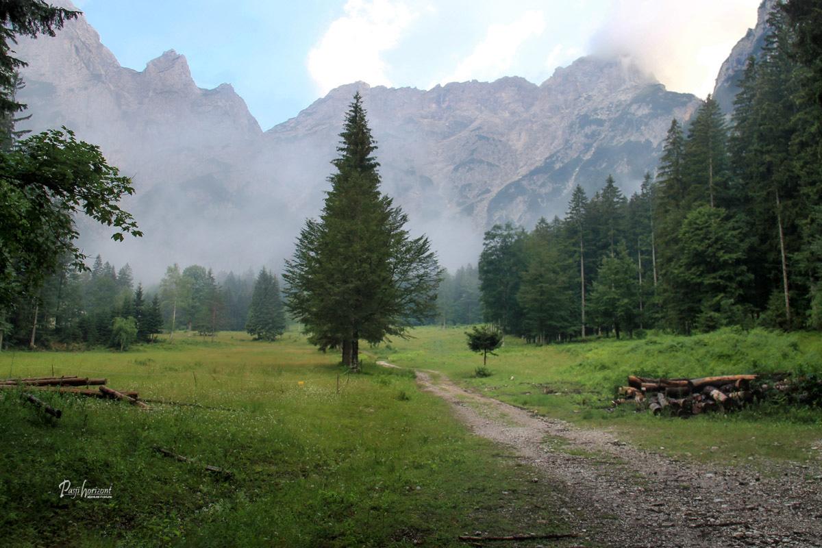 Robanova planina v Robanovem kotu