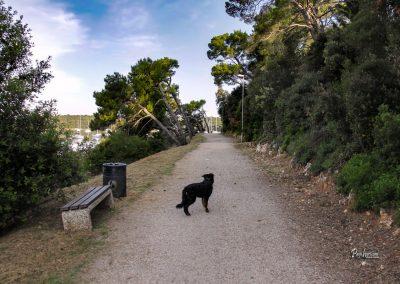 Sprehajalna pot, luka Vinkuran