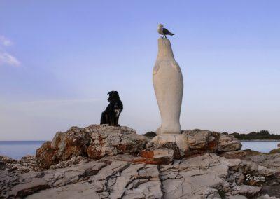 Zaliv Centinera, morski lev, trojica