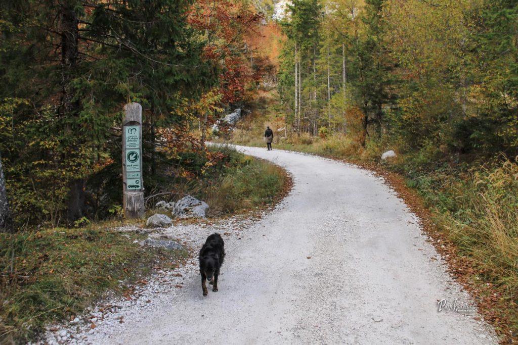 Pot proti Kekčevi domačiji