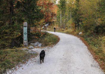 Smerna tabla ob makedamski poti za gozdno pot proti Kekčevi kmetiji, Trenta