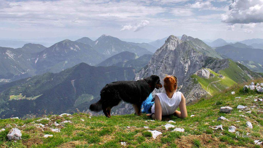Pasji dol - v hribe s psom, Veliki vrh (Košuta)