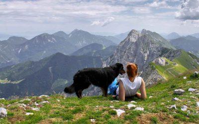 Kako varno v hribe ali gore s psom