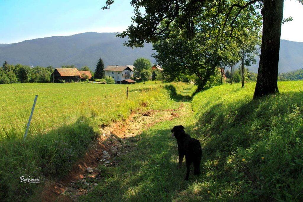 Vas Pristava pri Borovnici