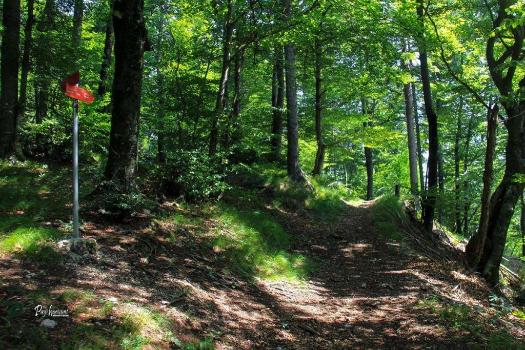 Gozdna pot krožnega povratka iz Soteske Pekel