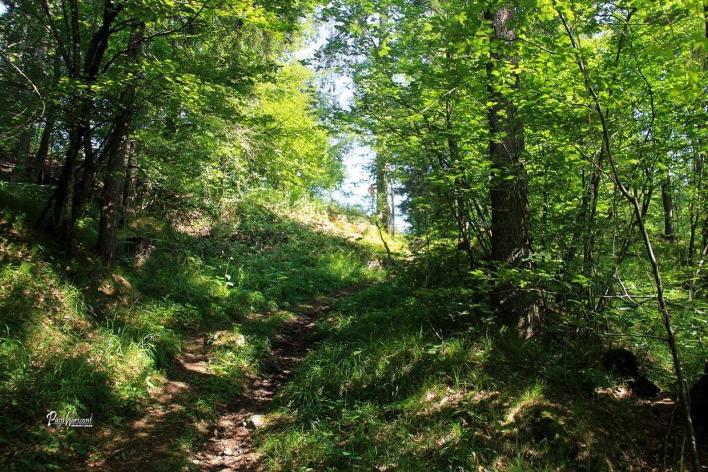 Razcep poti proti Pristavi v Soteski Pekel