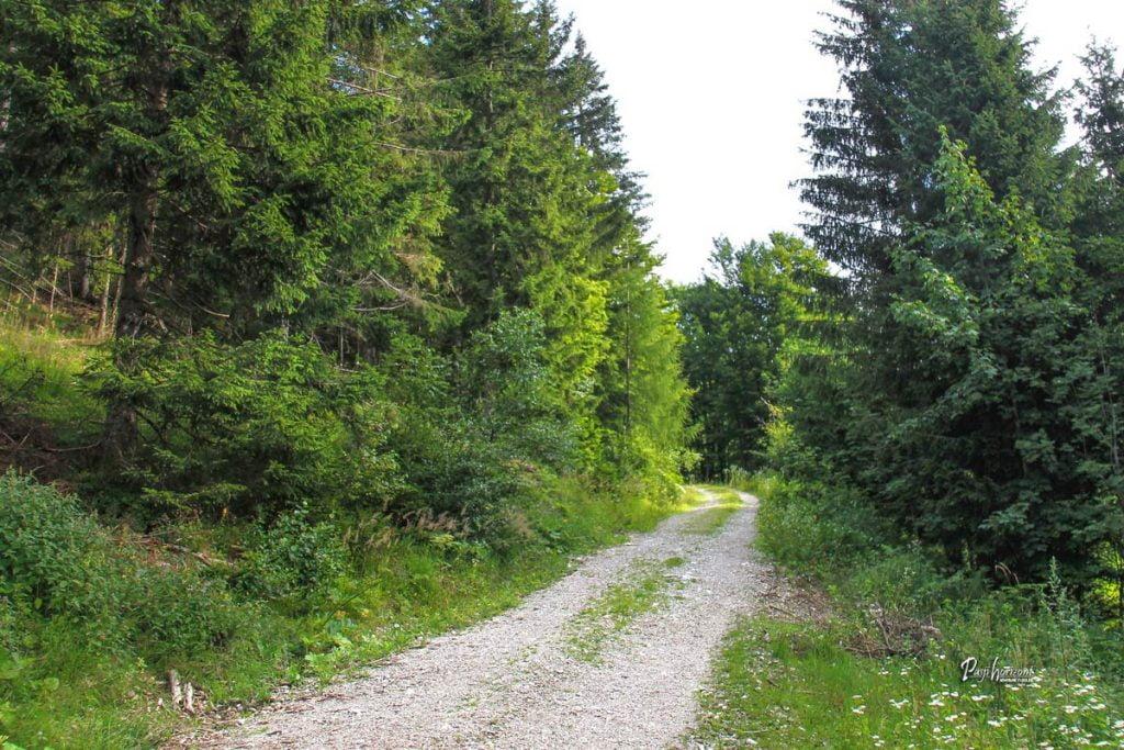 Začetek poti z Jezerskega vrha na Pristovški Storžič (Kärntner Storschitz) po makedamskii poti