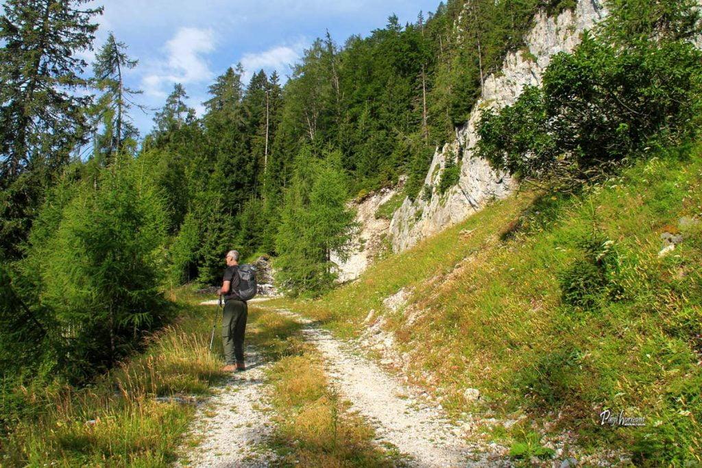 Narava ob poti na Pristovški Storžič