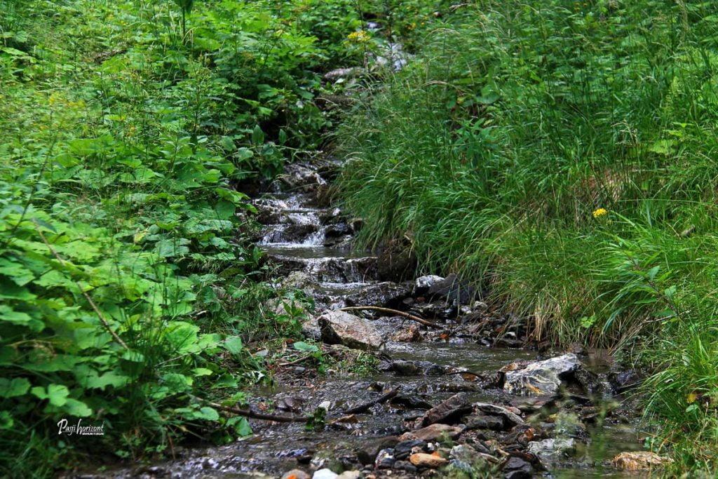 Manjši potoček ob poti na Pristovški Storžič (Kärntner Storschitz)