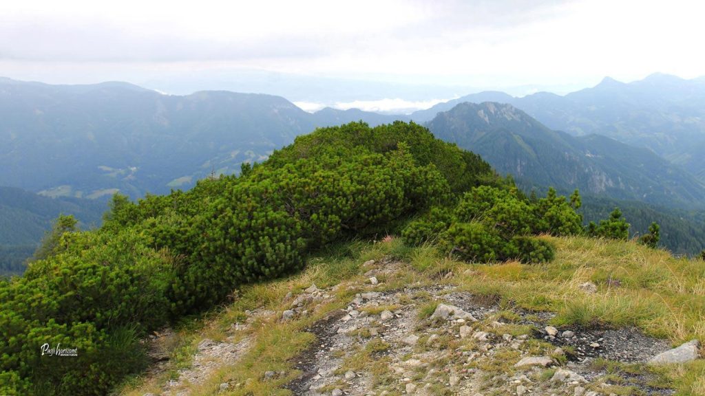 Razgled s Pristovškega Storžiča proti Avstriji
